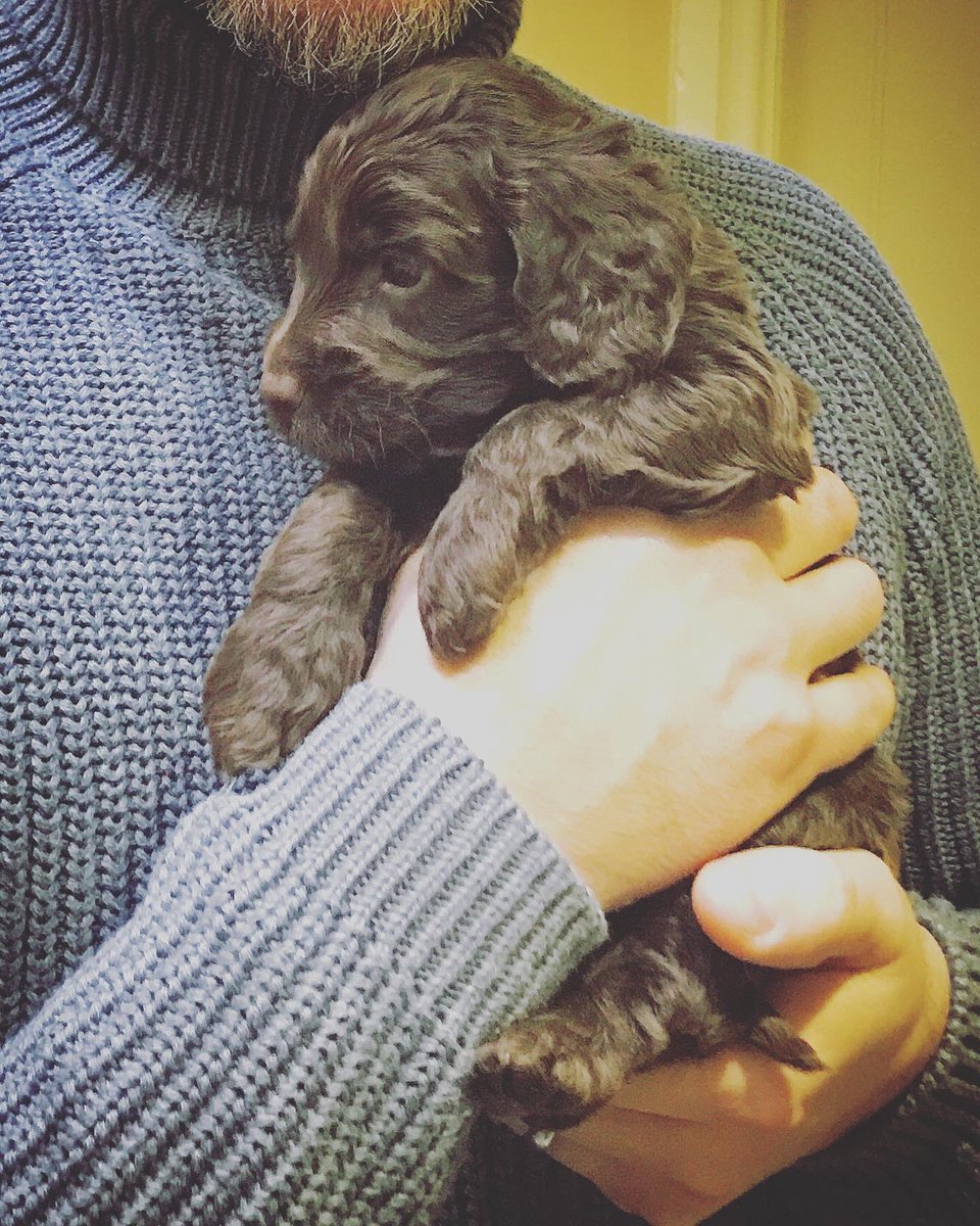 Mike Crawshaw tweet media