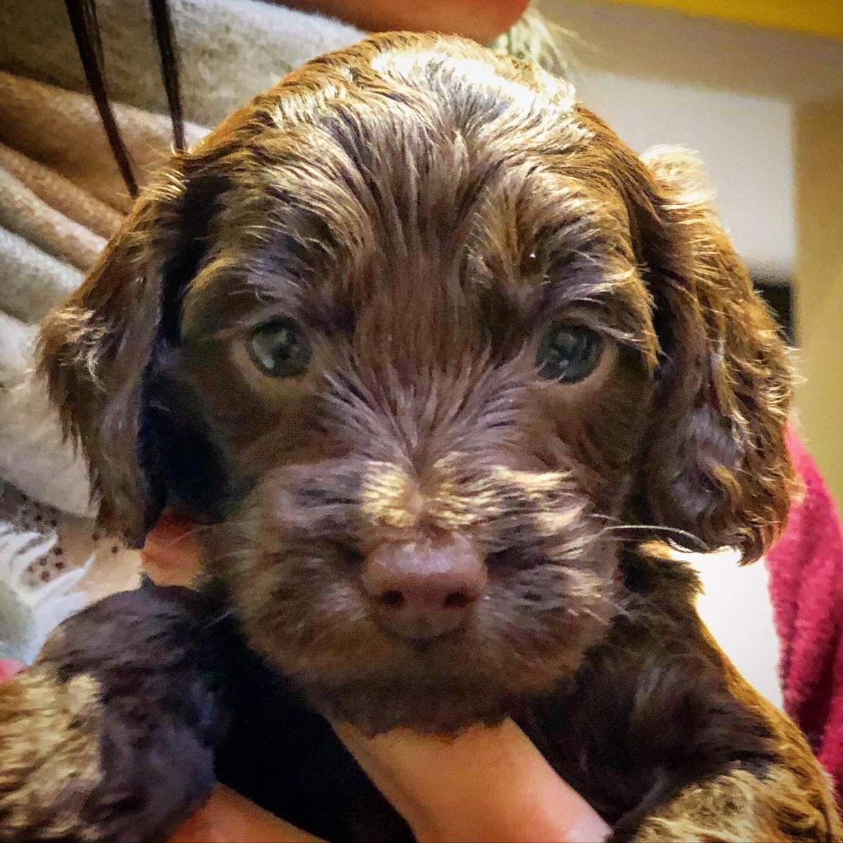 Mike Crawshaw tweet media