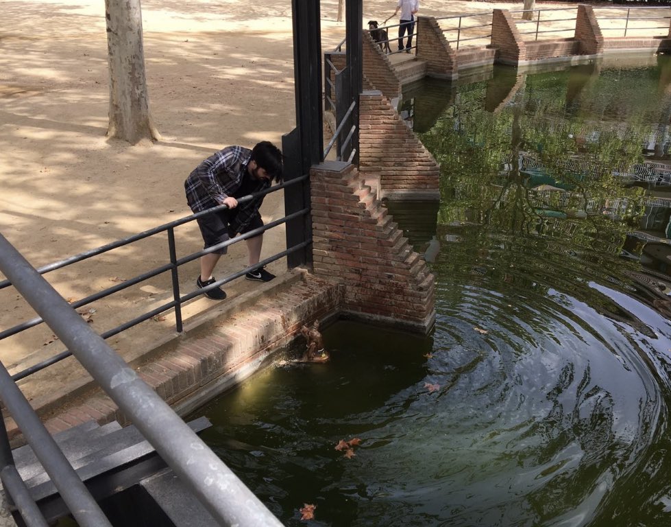 IbaiLlanos's tweet photo. El móvil me acaba de recordar una foto de hace 4 años cuando a mí perra se le fue la pinza y se cayó al agua 

Es que no me creo que haya una foto de esto apreciadlo por favor https://t.co/ujXXFQsGbo