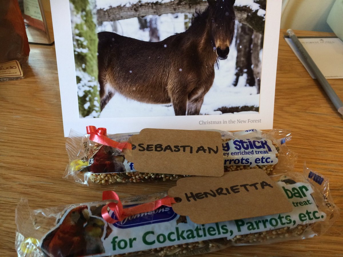 SebastianSquawk's tweet image. Henrietta &amp;amp; I spent Christmas in the #NewForest.  The #BeaulieuHotel even gave us presents! (But the vet won’t let us have them because they are not healthy enough ☹️) @NewForestHotels #holiday