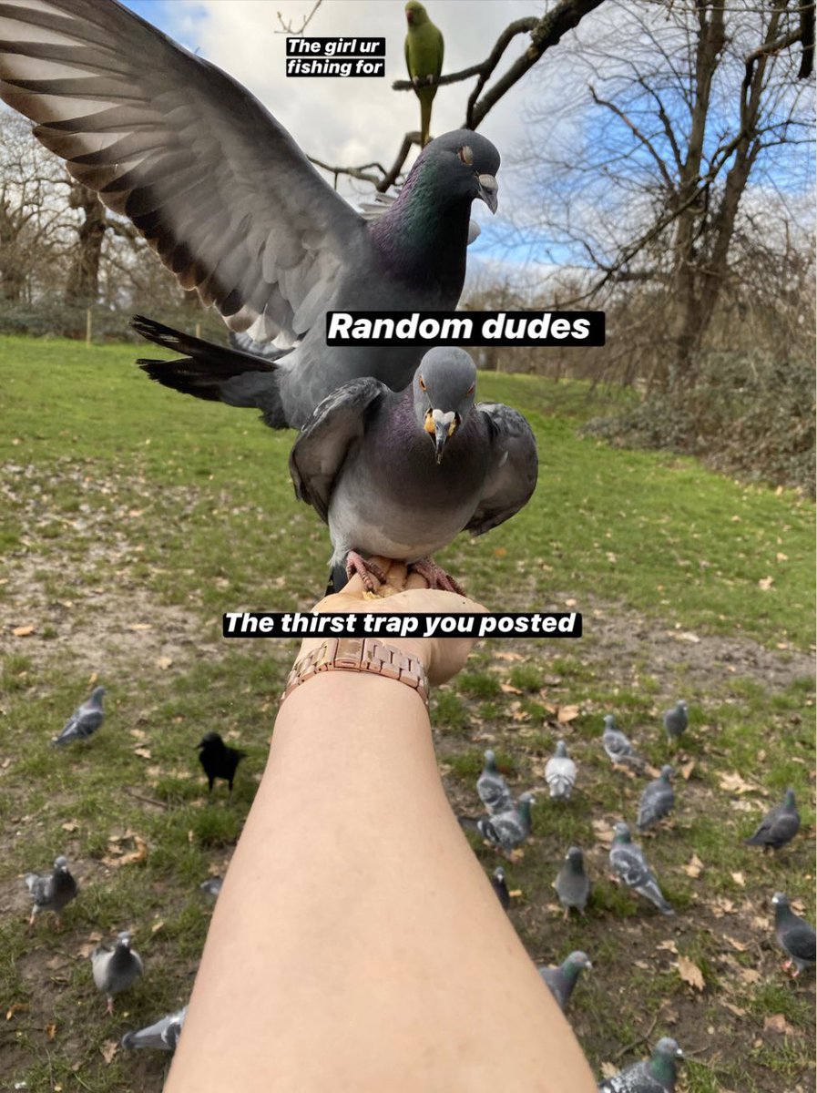 ningiiwebatoo's tweet image. Accidental #queermemes in Hyde park.