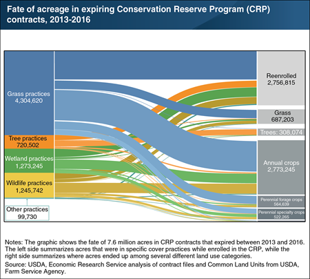 Notes: The graphic shows the fate of 7.6 million acres in CRP contracts that expired between 2013 and 2016. The left side summarizes acres that were in specific cover practices while enrolled in the CRP, while the right side summarizes where acres ended up among several different land use categories. Source: USDA, ERS analysis of contract files and Common Land Units from USDA, Farm Service Agency.