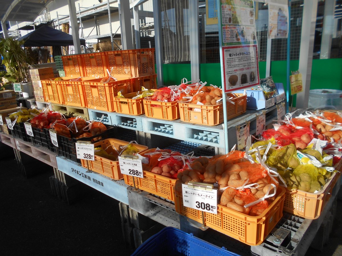 うさ じゃがいも 種芋 タワラムラサキ 500g ジャガイモ なえ屋 T Co Md61zcw2ng Amazonjpさんから