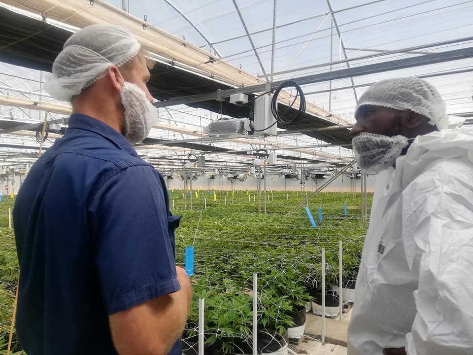 MGHFullSpectrum's tweet photo. We work with leading medical practitioners to offer products that are therapeutic, safe, consistent and that have the appropriate cannabinoid profile, relevant (and regulatory compliant) potency and dosage guidance.

#MG_Health #Lesotho #FullSpectrum #Science https://t.co/oQxVjTD4zL