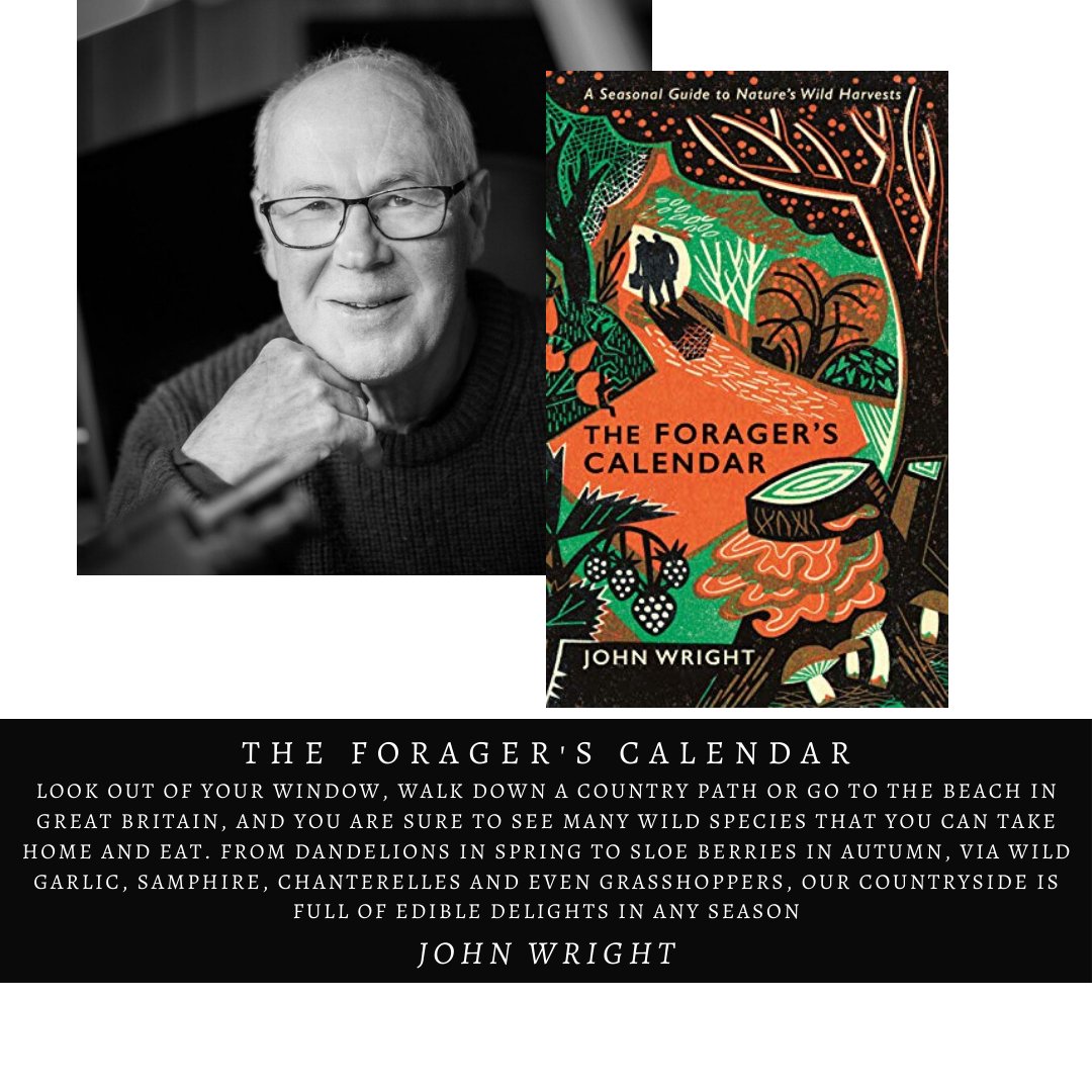 John Wright Johnmushroom Twitter