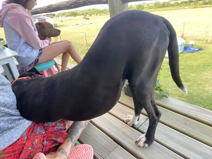 No se entiende muy bien cuál es su intención
😂
Buen día!