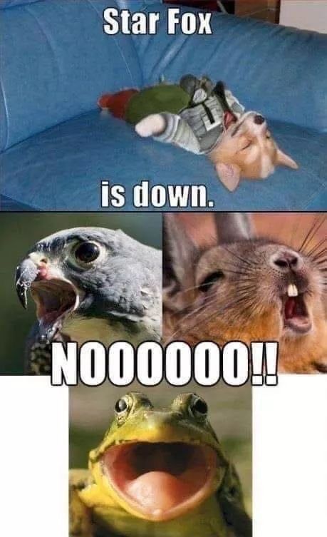 EOKcIa5W4AEaw1e?format=jpg&name=900x900