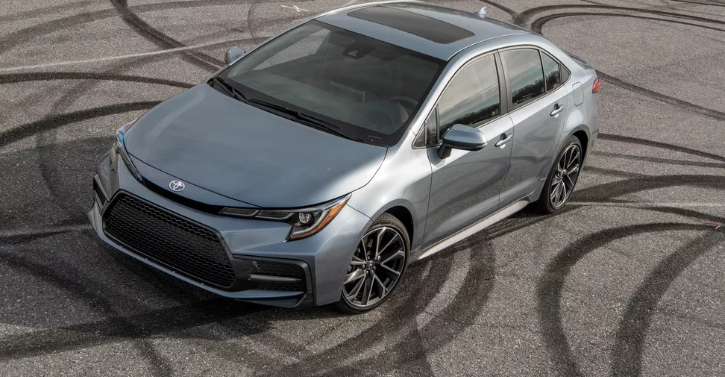 Donuts anyone?  🍩