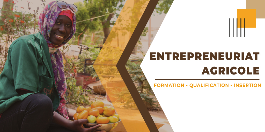 ISEP_Thies's tweet photo. L’ISEP-Thiès forme des Techniciens Supérieurs en Entrepreneuriat Agricole. Pour plus d’informations rendez vous sur https://t.co/u6d9H0D10r
#isepthies #isep #risep #mesri #senegal #enseignementsp https://t.co/Gy9IZ227Nz