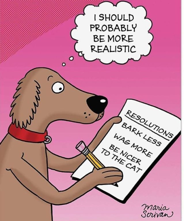 WoofMagazineNE's tweet photo. 😂🐶😂

We’re having fun over here —->@WoofMagazineofficial
#WoofWorthy #WoofMagazineNE #Pets #ProjectPawsitive #ilovemydog #doglover #love #shelterdog #dogsrule https://t.co/5HTmM0sEpJ