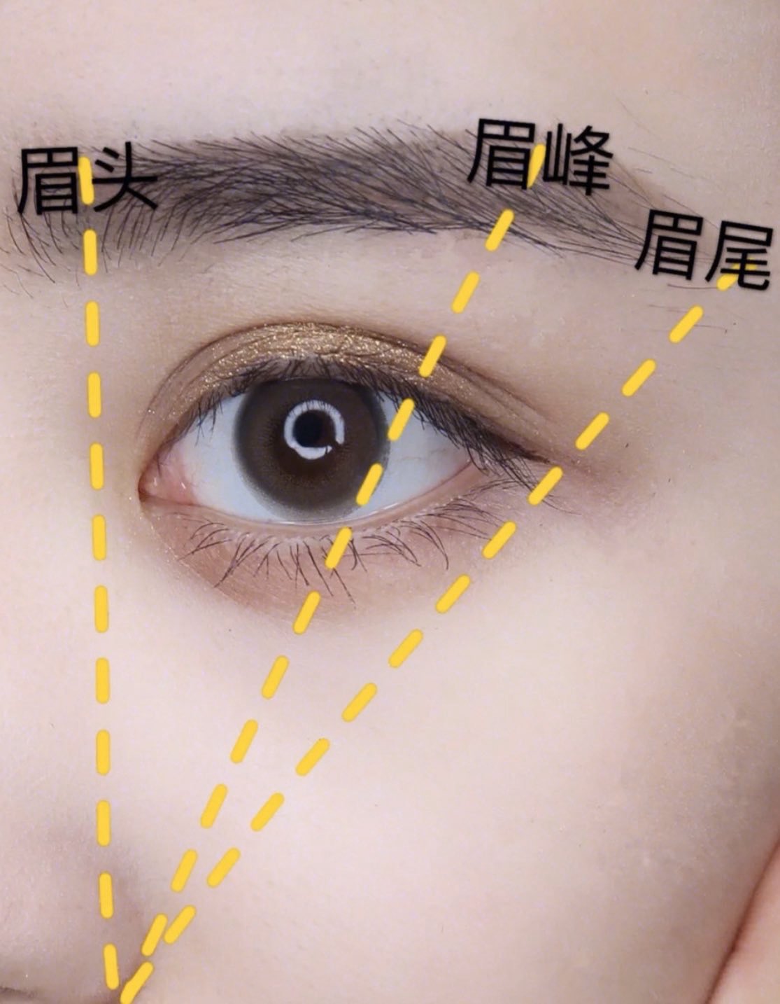 紅美女 顔の形によって似合う眉毛も違う 基本眉の書き方 眉毛コームで眉頭は上向きに 眉尻は下向きに整える 眉頭 眉山 眉尻を設定し描く 眉頭 鼻の端と目頭の延長 眉山 鼻の端と黒目の延長 眉尻 鼻の端と目尻の延長 基本の書き方を抑え 紅美女 顔の形によって似合う眉毛も違う 基本眉の書き方 眉毛コームで眉頭は上向きに 眉尻は下向きに整える 眉頭 眉山 眉尻を設定し描く 眉頭 鼻の端と目頭の延長 眉山 鼻の端と黒目の延長 眉尻 鼻の端と目尻の延長 基本の書き方を抑え