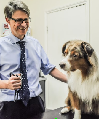 youngveterinary tweet picture