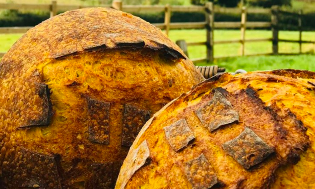 From #beauty to #beer, we've rounded up some of the best #veganfriendly places in #Leicestershire &amp; #Rutland. bit.ly/2tZjDkj #Veganuary2020 <a href="/zerowasteleics/">NADA. 🌍</a>  <a href="/myBotanicals/">Botanicals</a> <a href="/DMURRAYWINES/">Duncan Murray</a> <a href="/frameworkbrews/">Framework Brewery</a> <a href="/BisbrookeBakes/">Bisbrooke Artisans</a> <a href="/FHFoods/">🌱 FarrinHeight Foods Ⓥ 🌱</a> <a href="/VeganCheeseShop/">Vegan Cheese Shop</a> <a href="/visit_leicester/">Visit Leicester</a>