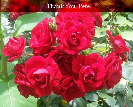 Thank you, Pete Dye for inspiring us to look beyond the horizon. #petedye