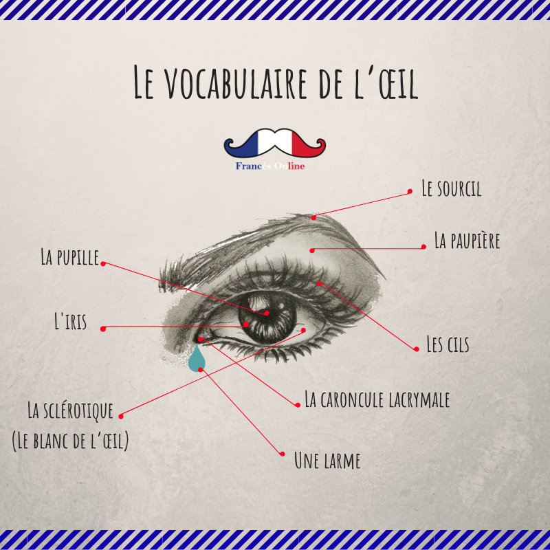 Hombre rico Noble Antagonista ojos en frances virar Optimismo Recuerdo