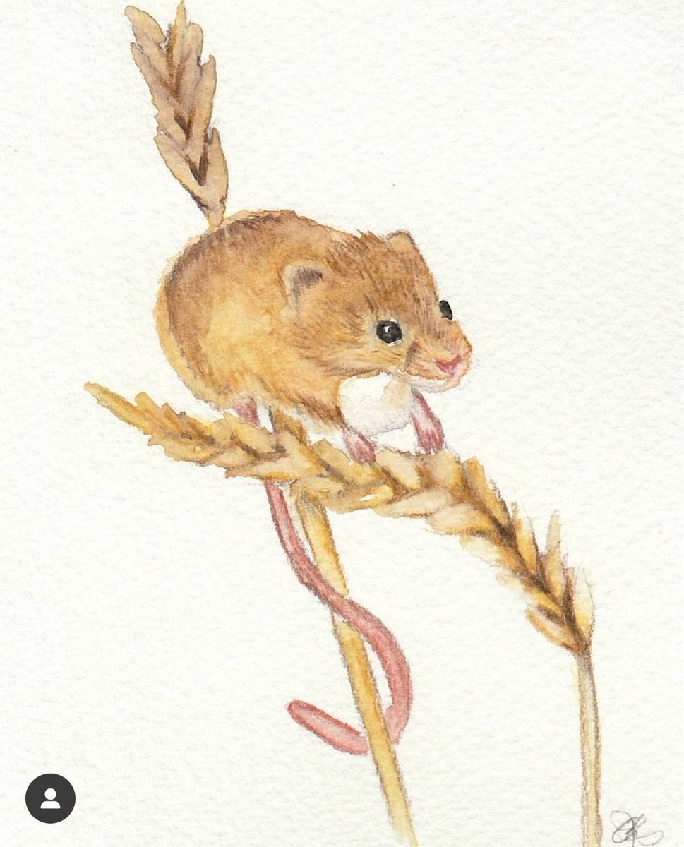 MrsLittlefair's tweet photo. @twitrartexhibit This was my first one for #TAE17 he did sell but I don't know who he went to. He was called "Little Mouse" https://t.co/4NxUOT8DFy