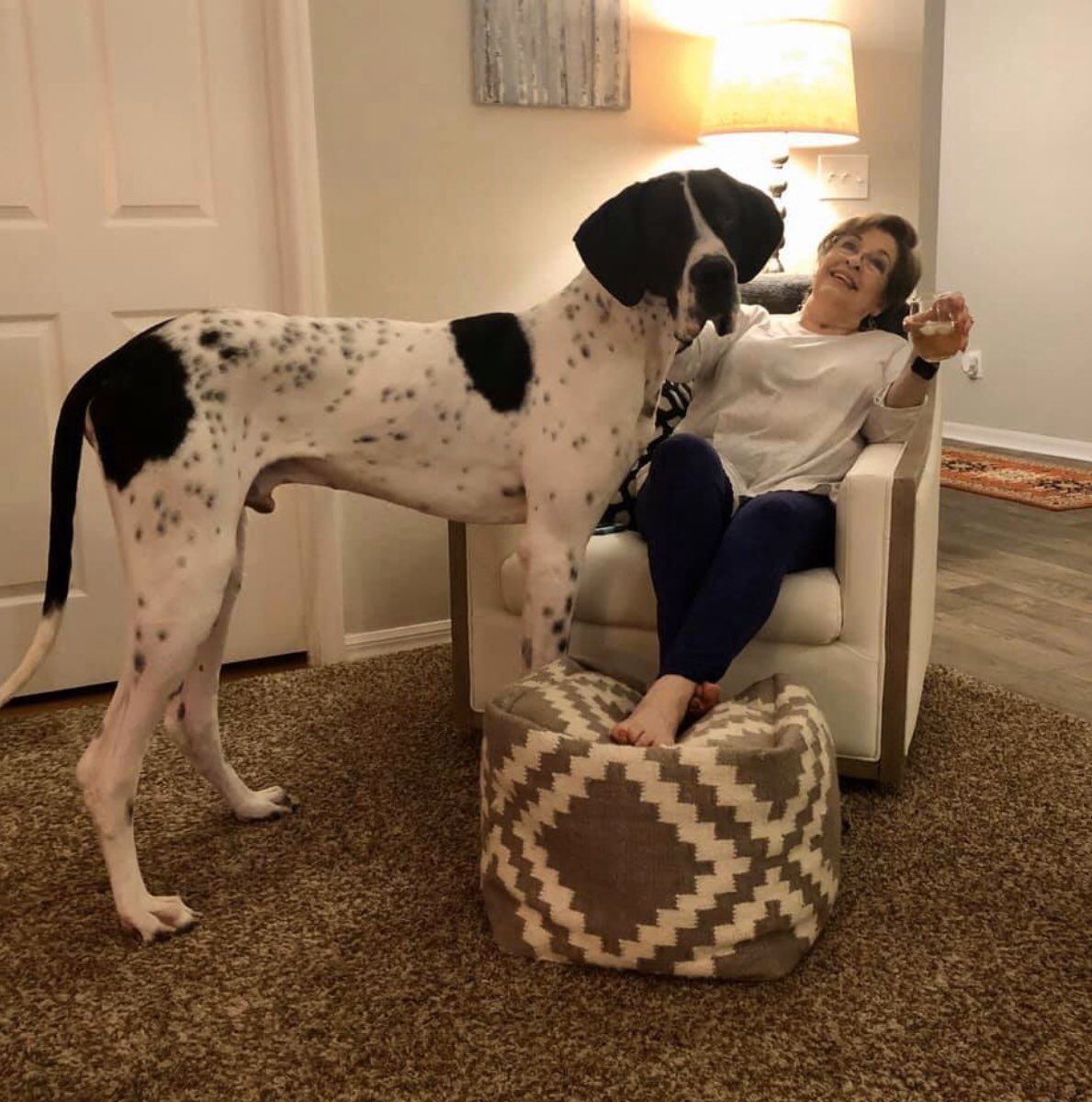 torihines24's tweet photo. I never realize how big my dog is until I see pictures like this. 😂 
#greatdane #almost11months https://t.co/dkd9ZQRu1U