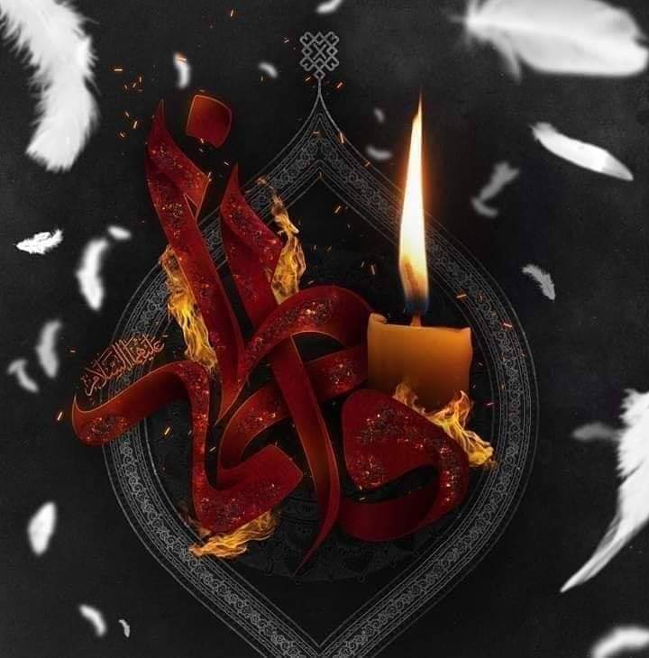مولا ع نےپاک سیدہ ع کو سات 7چادروں میں کفن دیا ہائے اتنی زخمی تھی بی بی😭🙏بر دشمن سیدہ ع لعنت بے شمار 🖐️🖐️🖐️#Ayaam_e_Fatimiya #bulb