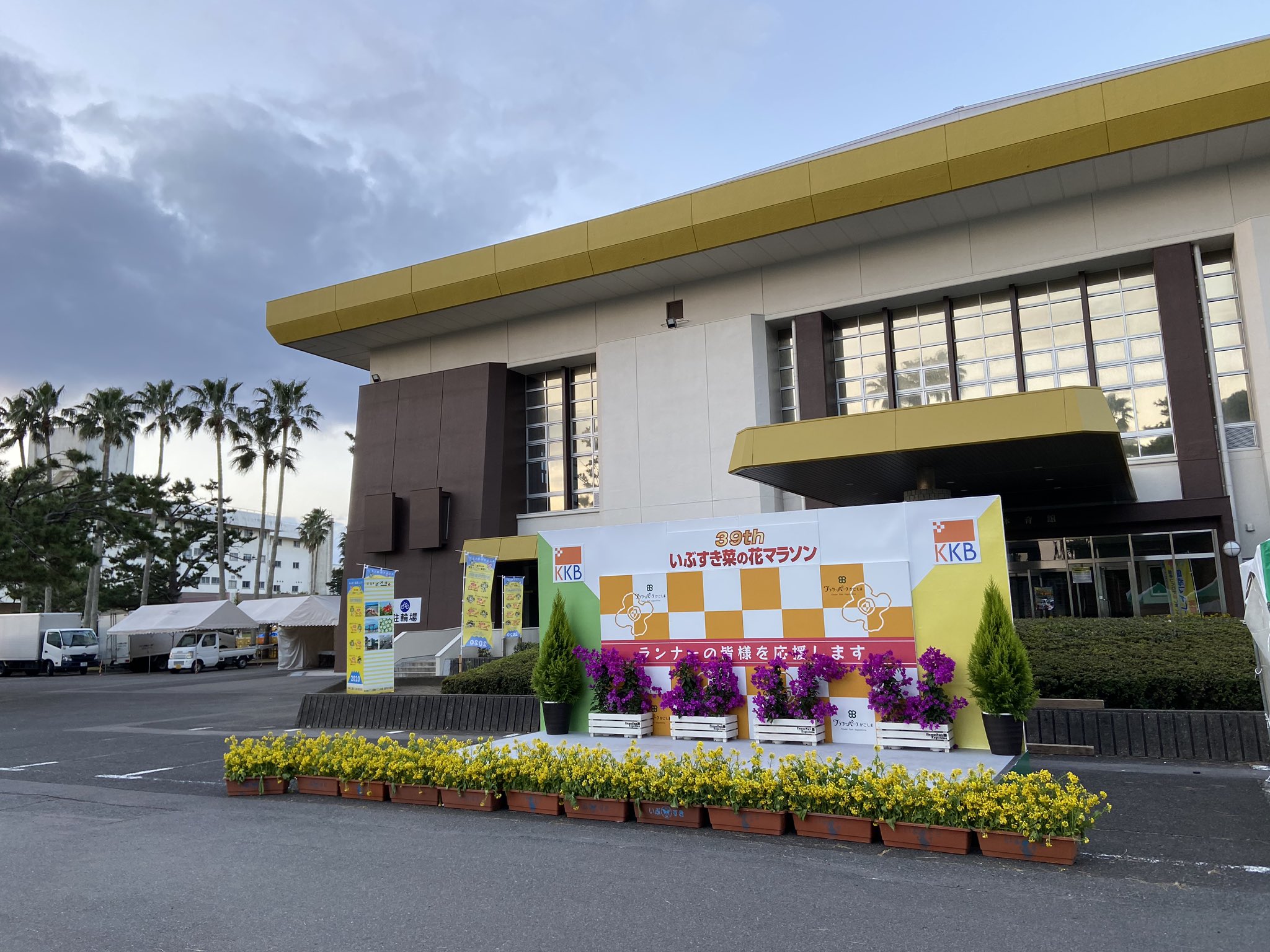 川内 優輝 Yuki Kawauchi Twitter પર いぶすき菜の花マラソン レポ１ 鹿児島県 指宿市 で1月第2日曜日に開催される いぶすき菜の花マラソンは 39回の歴史を誇る新年最初の日本陸連公認フルマラソンです おもてなしが盛り沢山の大会ですが 参加料は近年のフルでは