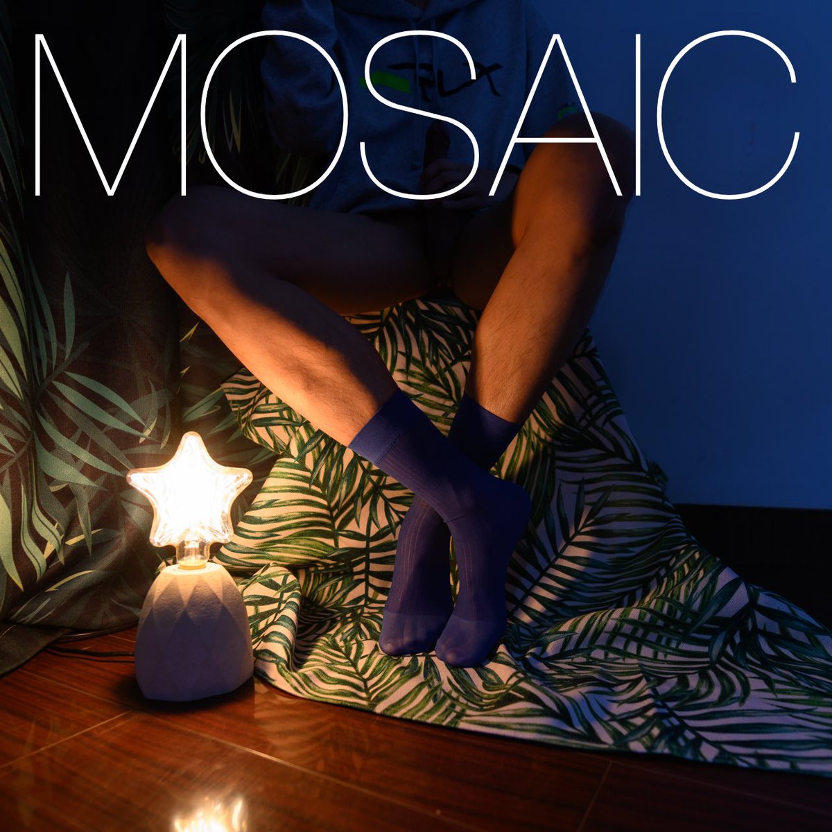 MosaicInForest's tweet photo. https://t.co/CHbQA0Z9IW
