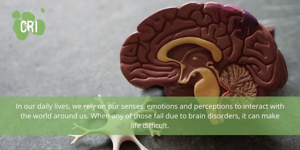 lpiparis_'s tweet photo. [#CRINEWS] Empowering people to collect and share data on #MentalHealth

Discover our collaborative projects with @ChildMindInst , mobile apps &amp; analytics tools to understand &amp; take care of #MentalDisorders

👉 https://t.co/CYP8ZvbUsB

#OpenHealth #CRIResearch https://t.co/FITc9gqPtT