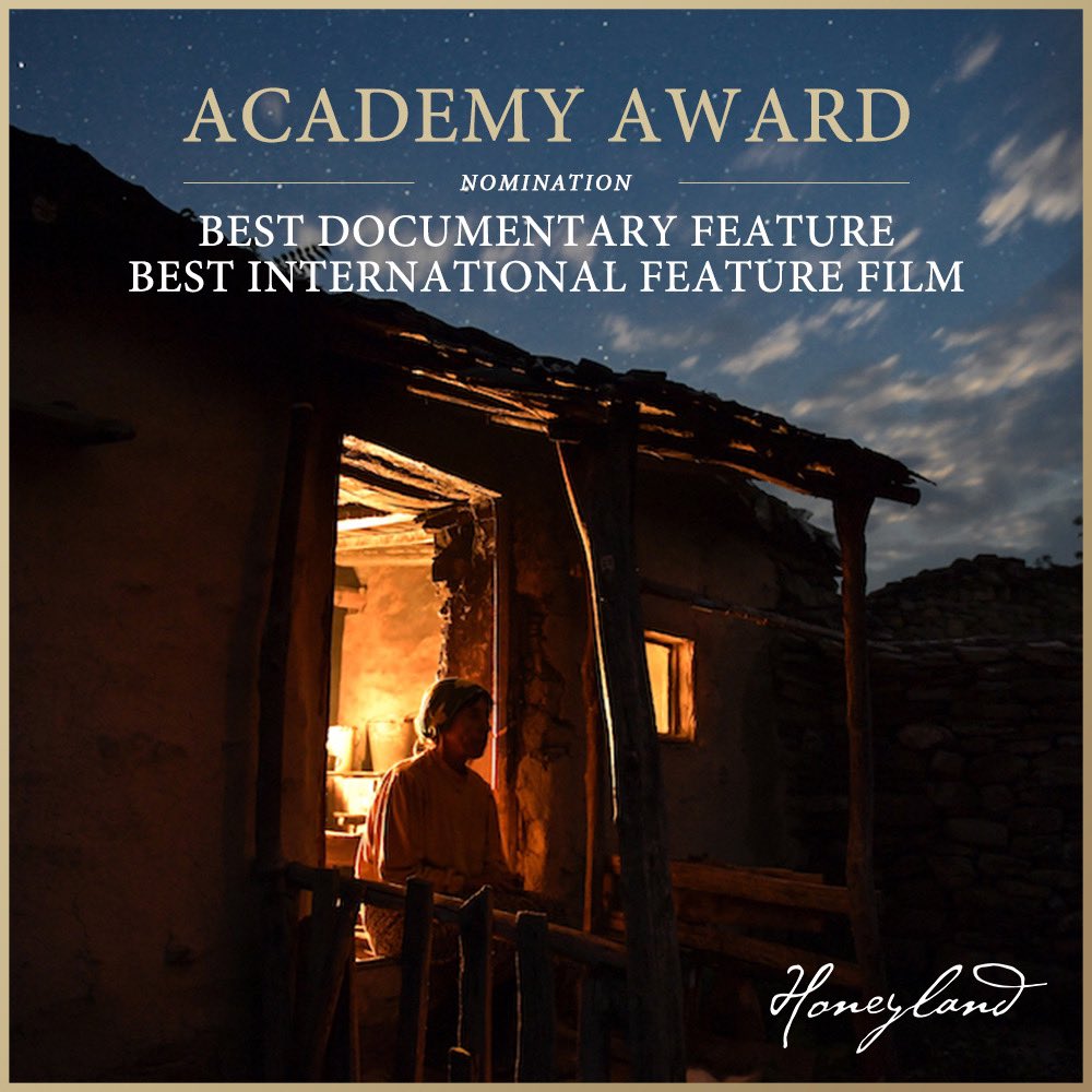 Best Documentary Feature
Best International Feature 

Thank you <a href="/Academy/">Academy Sports + Outdoors</a> 🐝
