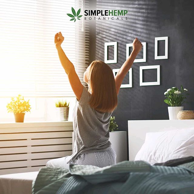 simple_hemp's tweet photo. Wake up feeling refreshed this Morning morning with some CBD coffee!! ☕🤩 Recipe Below>>>⠀
⠀
🔸Your favorite coffee⠀⠀⠀
🔸1tbsp butter from grass-fed cows⠀⠀⠀
🔸1tbsp coconut oil or MCT⠀⠀⠀
🔸1tbsp cream⠀⠀...https://t.co/QKI5LKOJeK https://t.co/u9W5YpLFDb