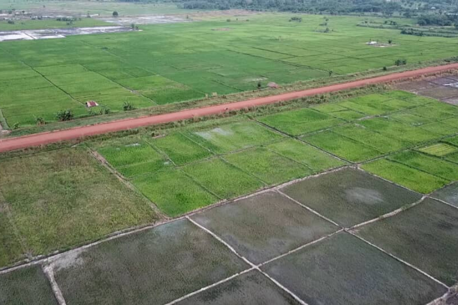 madeintogo_com's tweet photo. [Agriculture/PARTAM : une initiative fortement louable pour la transformation d’un potentiel en richesse]

Initié par le gouvernement, (…)

Lire la suite 👉🏽👉🏽https://t.co/OXkpkILWCB

#Mapah #Partam #MadeinTogo https://t.co/nK4TdfYxL0