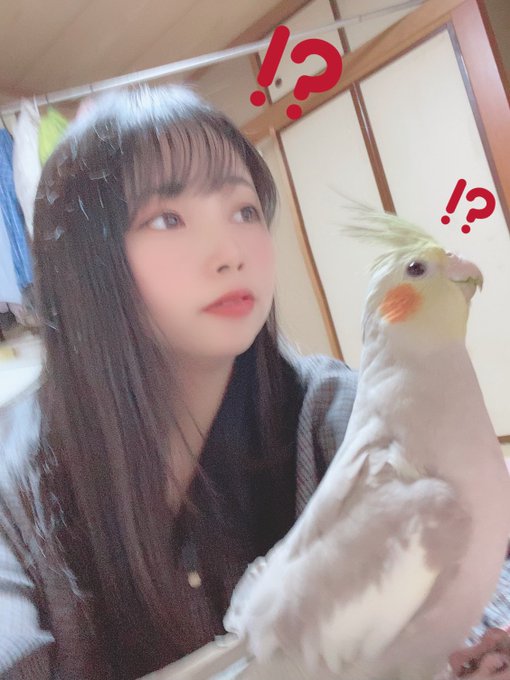 コスプレイヤー中本yuiのTwitter画像16