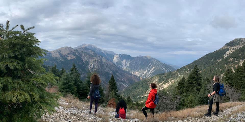 visitgjirokastr's tweet photo. Gjirokastra region is surrounded by mountains, beautiful forests, waterfalls, rivers and valleys. This tour will take you to Murgana Mount, #Dropull, 1806 m above sea level #Gjirokastra. Murgana is part of a range mountains in border Greece -#Albania
https://t.co/T5xWOOCc0z https://t.co/5BawsrnH5i