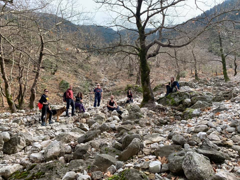visitgjirokastr's tweet photo. Gjirokastra region is surrounded by mountains, beautiful forests, waterfalls, rivers and valleys. This tour will take you to Murgana Mount, #Dropull, 1806 m above sea level #Gjirokastra. Murgana is part of a range mountains in border Greece -#Albania
https://t.co/T5xWOOCc0z https://t.co/5BawsrnH5i