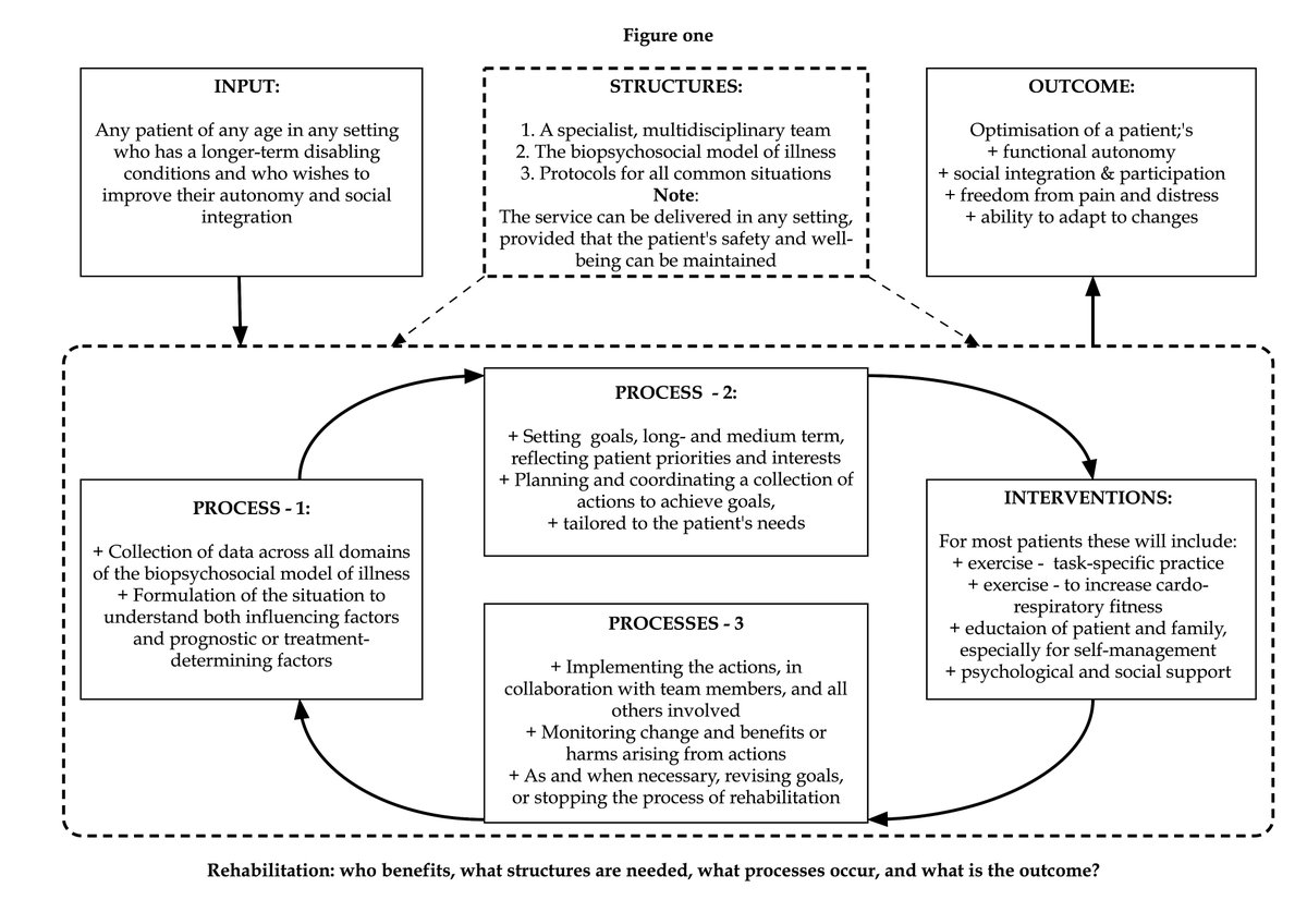 Another diagram in my continuing quest to understand what rehabilitation is. Based on a review of evidence leading to an empirical definition - to be published soon, I hope.