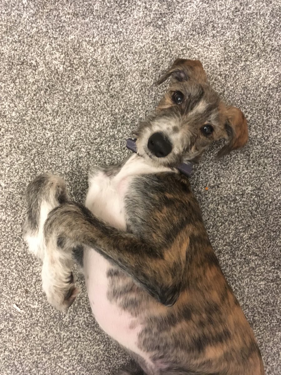 KeeptheNoisedown tweet media