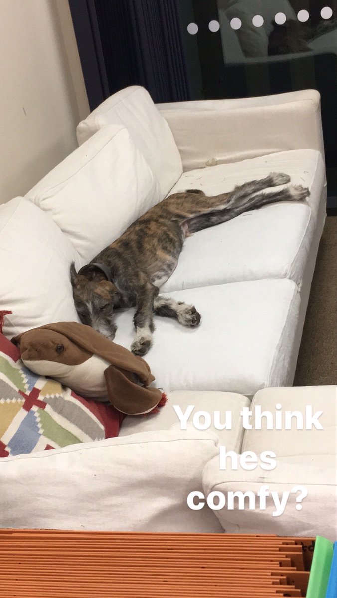 KeeptheNoisedown tweet media