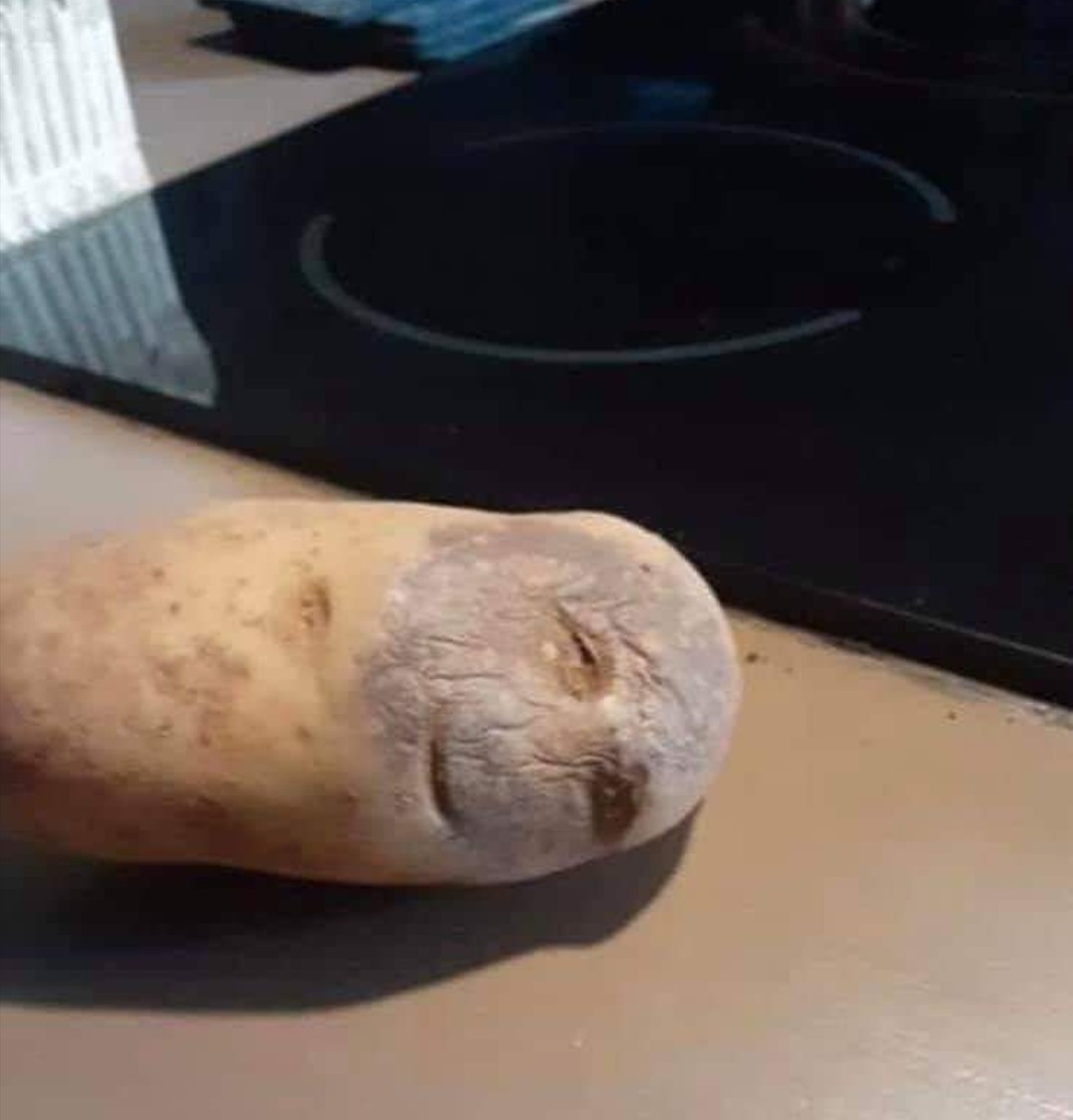 monique114_'s tweet photo. Wat denken jullie? Gewoon koken of naar de dokter ermee? 😏 https://t.co/dWqM51GjEb