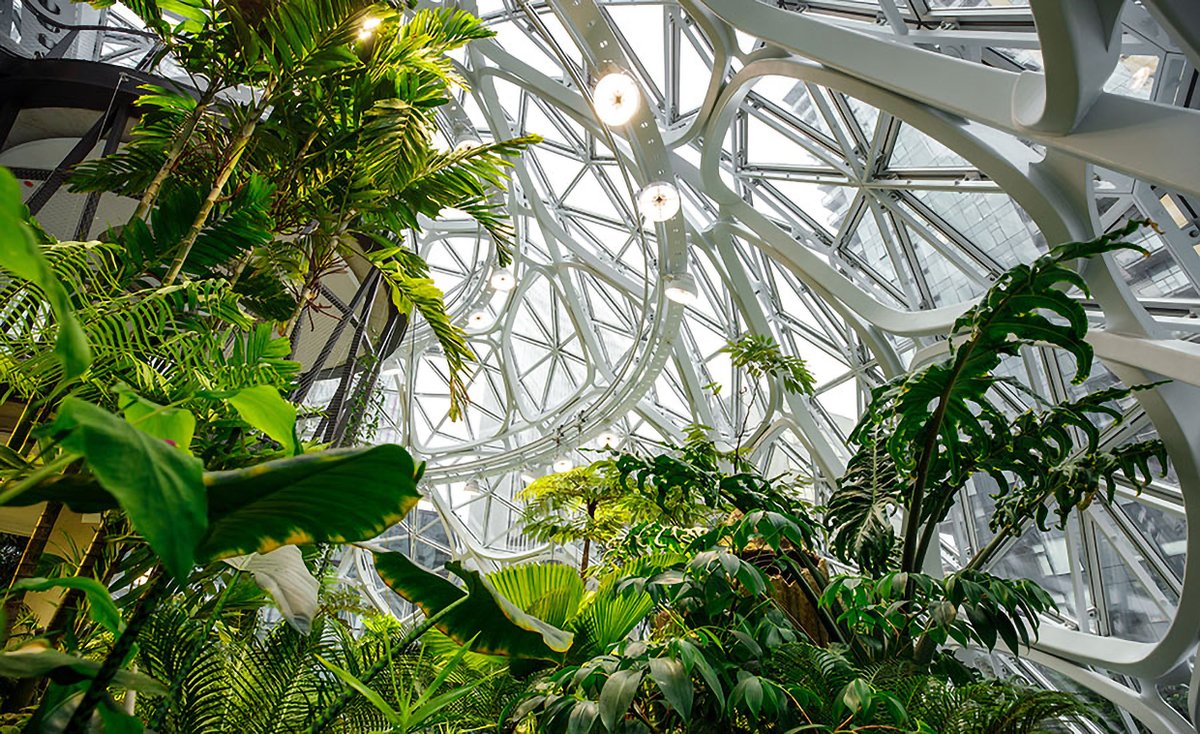 As experts in Biophillic architecture, design and research, <a href="/Cura_Design/">Cura</a> work closely with Exeter-based sister company <a href="/StructureHaus/">structureHaus</a> to build a more beautiful world.

#Biophillic #Design #Architecture #Construction #Green 

grow-media.co.uk/exeter-news/cu…