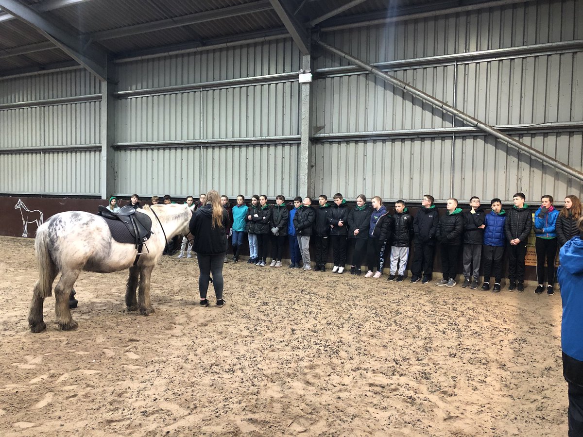 BOLHS_Cymraeg's tweet photo. Rydyn ni yma a barod am ferlota! 🐴 We are here and ready for horse riding #llangrannog2020 #merlota #urdd https://t.co/Krl3pKpfdY