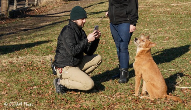 Cheetah companion dog Remus is ready for his close up. 😎#MondayMood #MondayMotivation