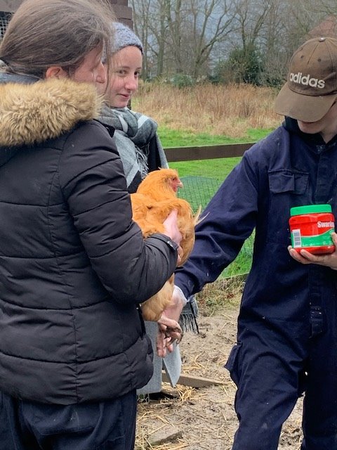 CamphillW's tweet photo. Small Animal care group this afternoon were definitely caring this afternoon as they check the chickens for mites they might have! #SEND #CareForAnimals #HandsOnLearning #puttingitintopractice https://t.co/ahaZmxEmkU