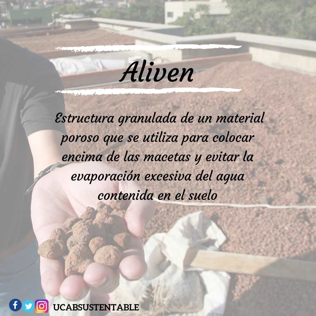 UCABSustentable's tweet image. #ABCAmbiental | Al visitar #TechoVerdeUCAB observarás en las jardineras unas esferas o “pelotas” marrones. Son agregados livianos hechos de arcilla y se usan en las jardineras para mejorar la estructura del suelo y el drenaje, su nombre comercial es #Aliven