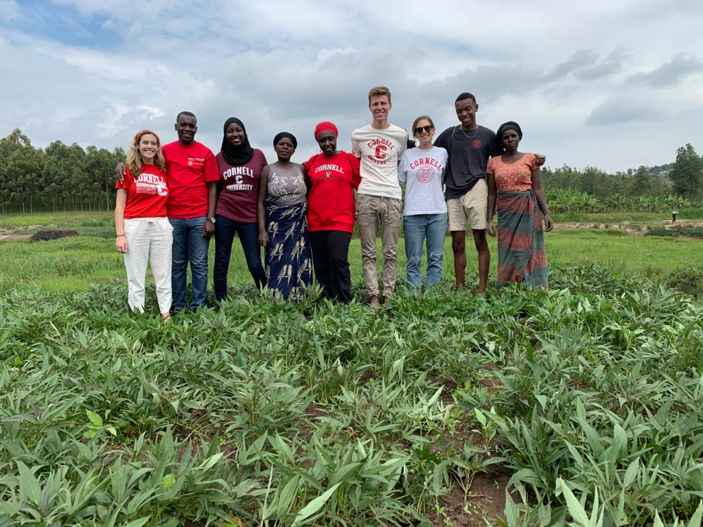 carl_ltd's tweet photo. Our supply chain of #Sweetpotaos are very strong because of d relationship we have with farmers,together with students from @Cornell University who are at #CARLGROUP for now,we visited ones of our suppliers in @Muhangadis &shared sme good agriculture practices with this students https://t.co/PI5s6uhCm8