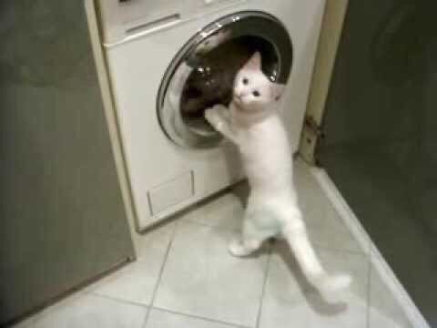 Fırat Yavuz (@frathghar) on Twitter photo 