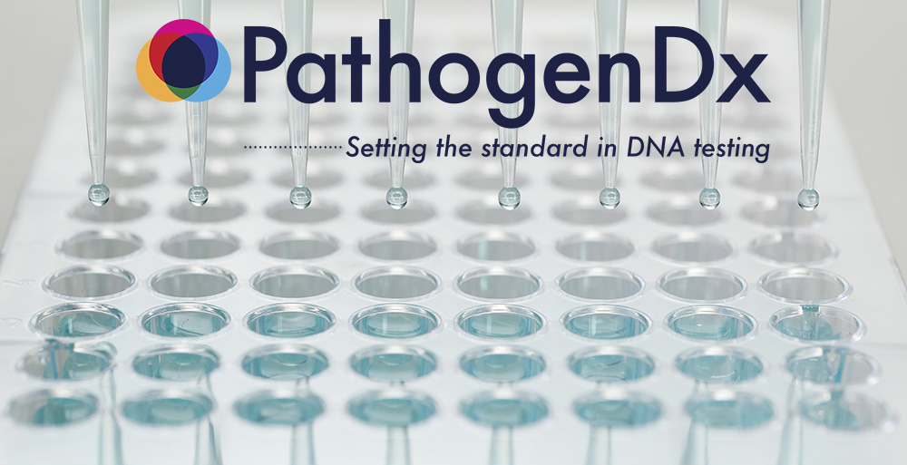Setting the standard in DNA testing.  Want to know why we do it or learn more on how?  Check out our website pathogendx.com 🦠❌

#CannabisTesting #DNATest #CannabisCommunity #DNA
