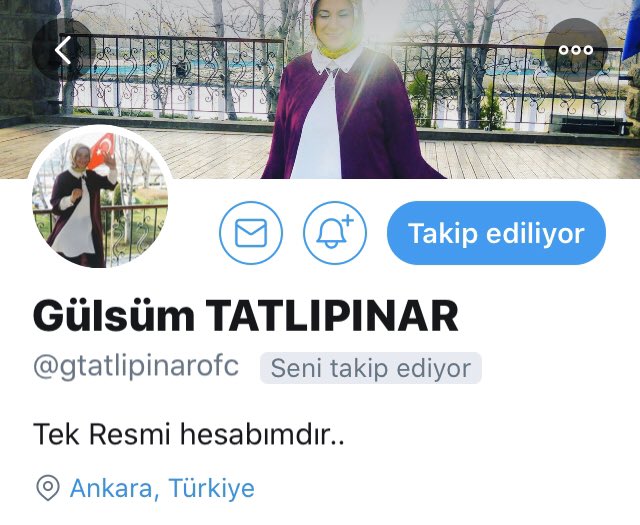 Hayrlı Geceler Arkadaşlar! Bu gün takip tavsiyelerim;🤲🐝@AmineCeltik @melektozuu @oglu_alim @gtatlipinarofc maksat #SafımızBelliOlsun 🇹🇷