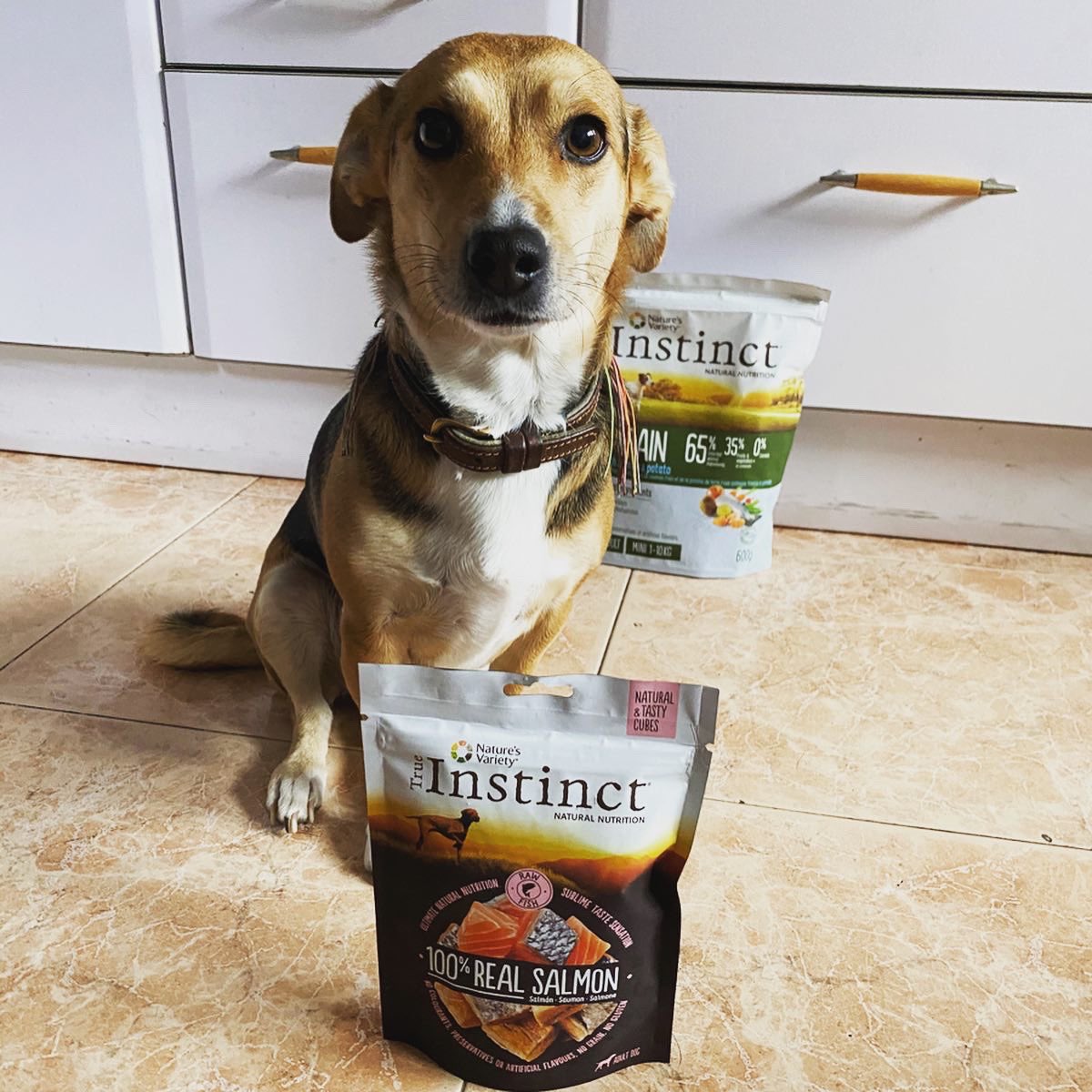 wastewin7's tweet photo. Está claro q Dana tiene muy claro cuál es su snack favorito😆Y es un snack muy sano: trocitos de salmón crudo, elaborados a través de un proceso de liofilización, q conserva las propiedades nutricionales y todo su sabor y cualidades 🐟#EmbajadorTrueInstinct #TrueInstinct https://t.co/Vn9UF7z8s5