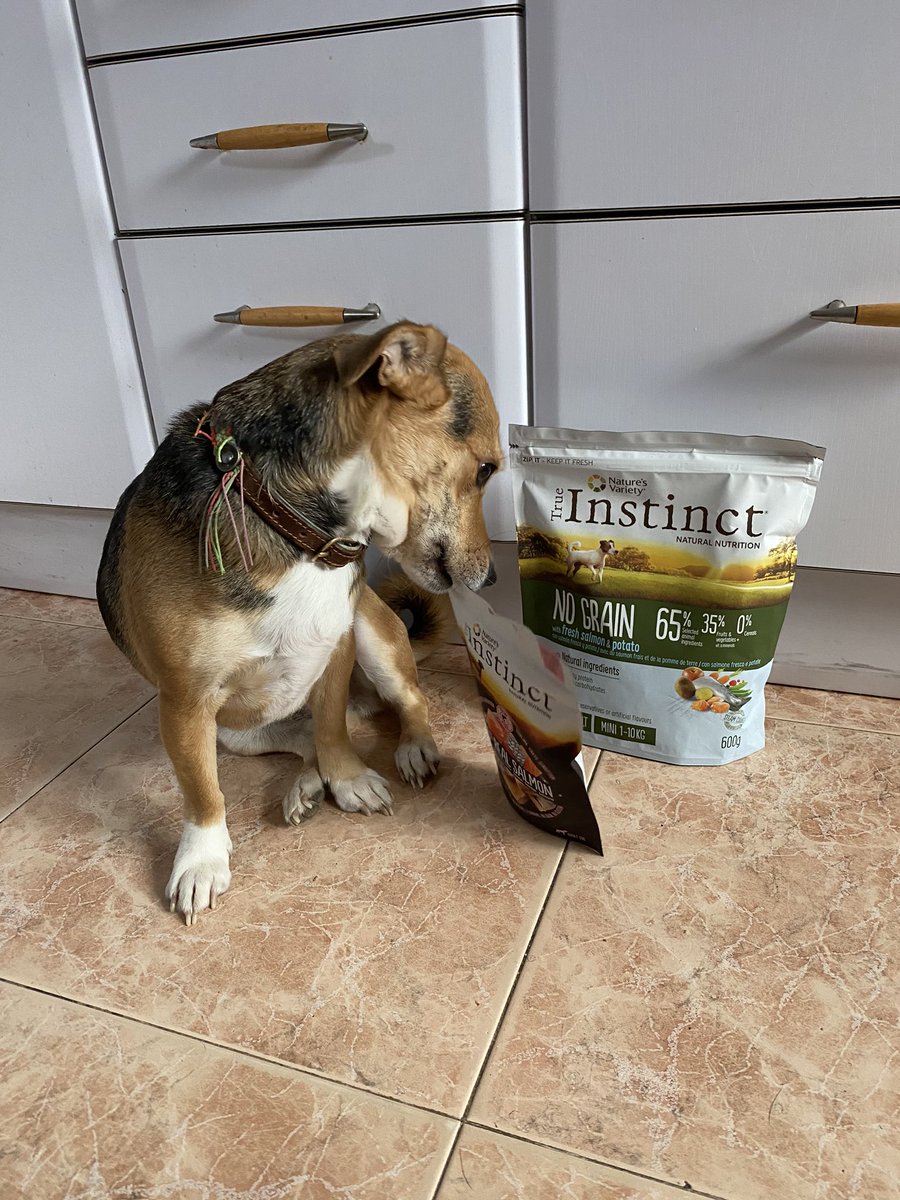 wastewin7's tweet photo. Está claro q Dana tiene muy claro cuál es su snack favorito😆Y es un snack muy sano: trocitos de salmón crudo, elaborados a través de un proceso de liofilización, q conserva las propiedades nutricionales y todo su sabor y cualidades 🐟#EmbajadorTrueInstinct #TrueInstinct https://t.co/Vn9UF7z8s5