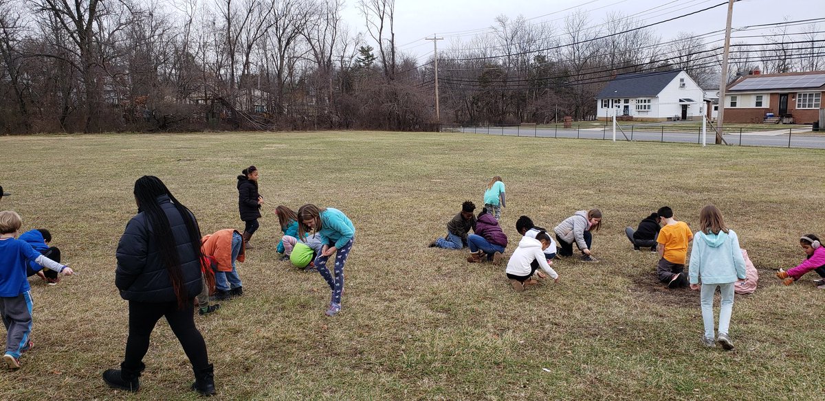 Learning about the effects of invasive species on food supply. It's hard enough to get the beans off the ground using our "beaks", but when an in invasive species comes in and can use their hands, we learn the hard way and we're lose our"food".