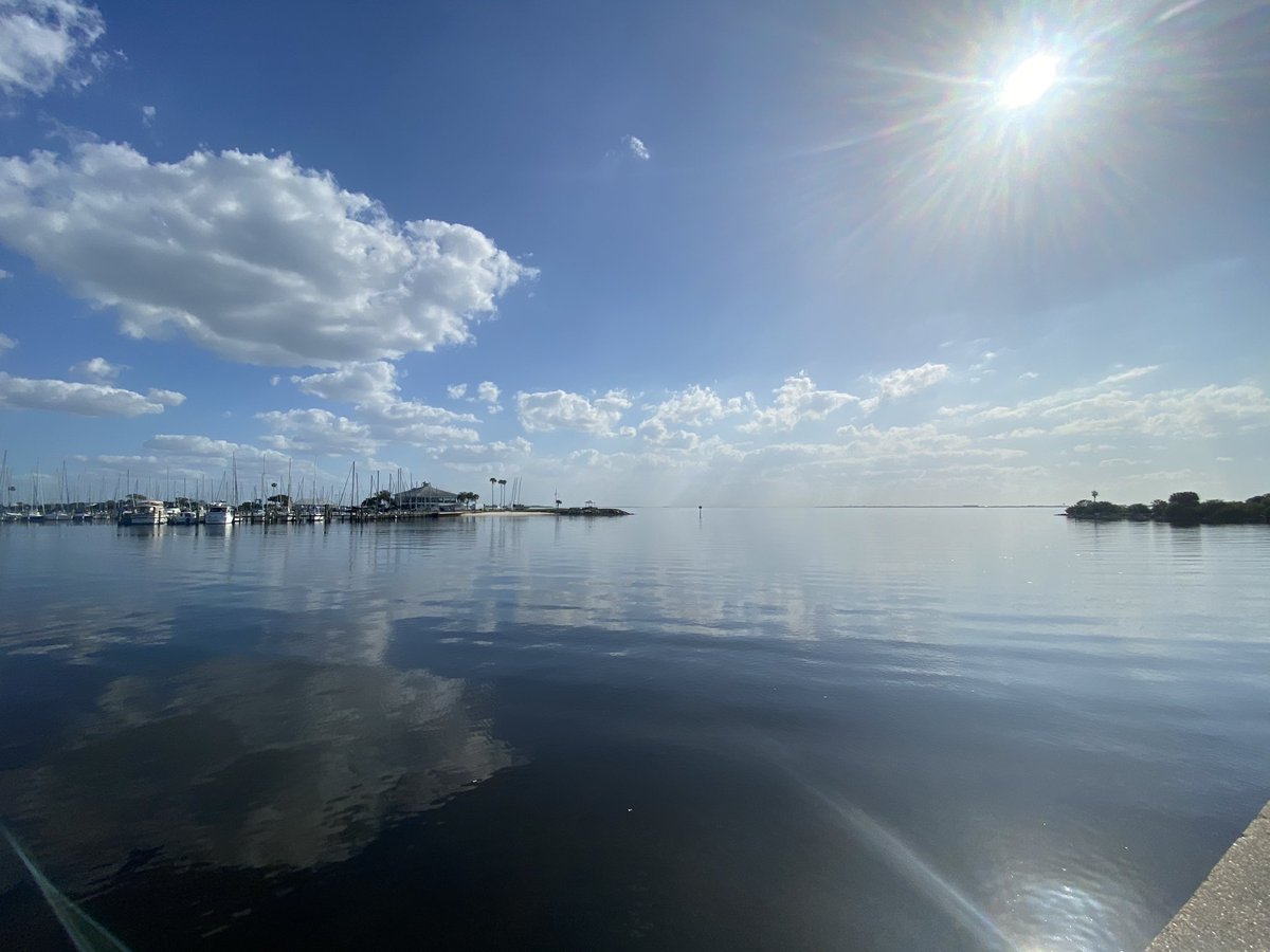 Hello from Davis Island.