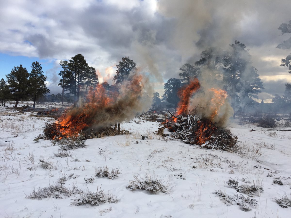 Piles burning with trees in the background. Photo credit: BLM Fire