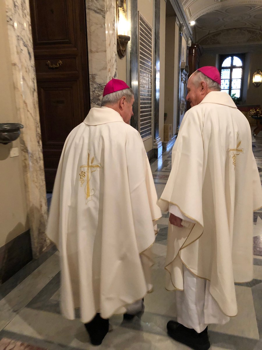 Archdiocese of St. Louis (@archstl) on Twitter photo Yesterday, Archbishop Robert Carlson, Bishop Mark Rivituso and all the bishops of Region 9 arrived in Rome for their ad limina visit—a special trip during which they will visit with <a href="/Pontifex/">Pope Leo XIV</a> and report on the status of the dioceses. Yesterday, Archbishop Robert Carlson, Bishop Mark Rivituso and all the bishops of Region 9 arrived in Rome for their ad limina visit—a special trip during which they will visit with <a href="/Pontifex/">Pope Leo XIV</a> and report on the status of the dioceses.